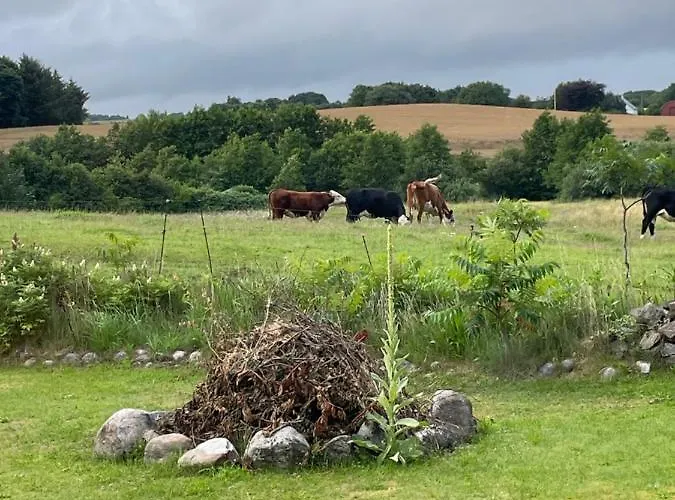 Naturen Taet Pa. Maerk Stilheden!